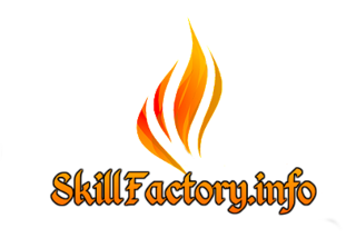 skillfactory2